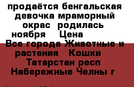 продаётся бенгальская девочка(мраморный окрас).родилась 5ноября, › Цена ­ 8 000 - Все города Животные и растения » Кошки   . Татарстан респ.,Набережные Челны г.